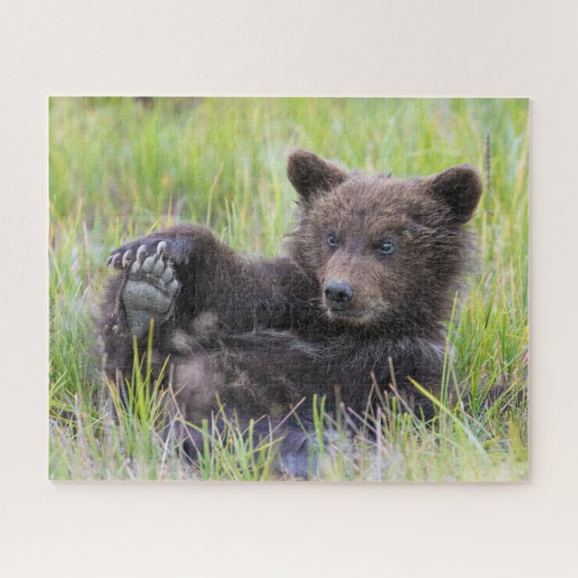 Puzzle Animales de bebé más afectados | Jugar con el cubo (Horizontal)