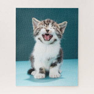 Puzzle Animales de bebé más afectados Meowing Baby Kitt