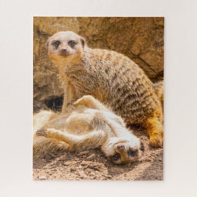 Puzzle Animales de bebé más afectados | Merkats deportivo (Vertical)