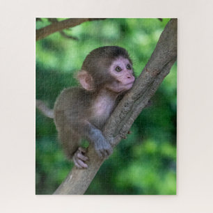 Puzzle Animales de bebé más afectados   Mono bebé