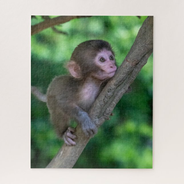 Puzzle Animales de bebé más afectados | Mono bebé (Vertical)