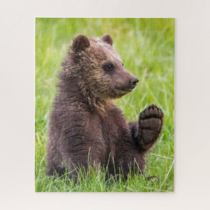 Puzzle Animales de bebé más afectados Ola de Oso Marrón
