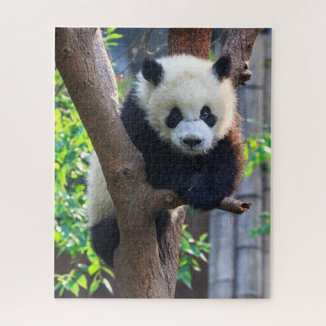 Puzzle Animales de bebé más afectados | Panda Cub gigante (Vertical)