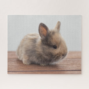 Puzzle Animales de bebé más afectados Pequeño conejo pa