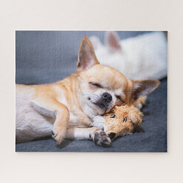 Puzzle Animales de bebé más afectados | Perro Chihuahua d (Horizontal)
