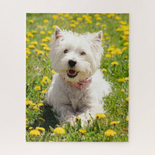 Puzzle Animales de bebé más afectados   Perro occidental 