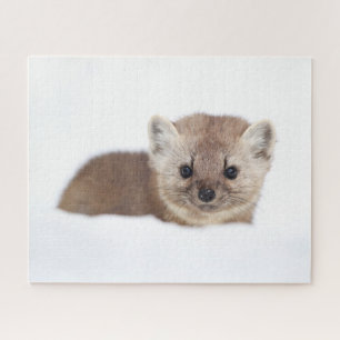 Puzzle Animales de bebé más afectados   Pine Marten