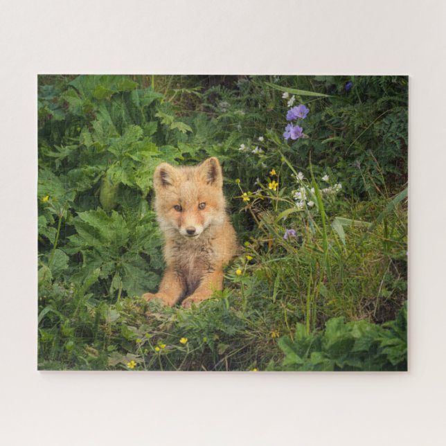 Puzzle Animales de bebé más afectados | Red Fox en Umnak  (Horizontal)
