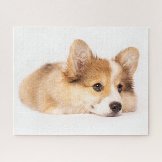 Puzzle Animales de bebé más afectados | Retrato de cachor (Horizontal)