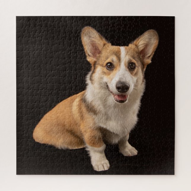 Puzzle Animales de bebé más afectados | Retrato de Corgi  (Vertical)