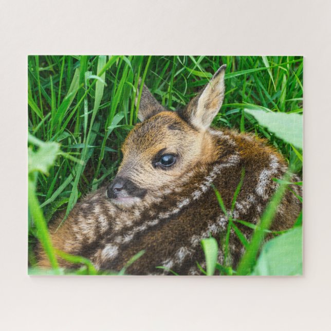 Puzzle Animales de bebé más afectados | Roe Deer Baby (Horizontal)