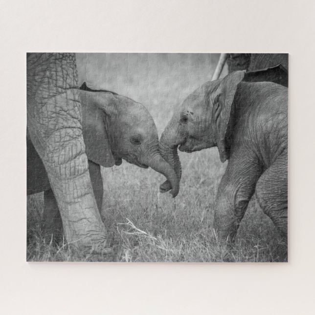 Puzzle Animales de bebé más afectados | Saludo de los beb (Horizontal)