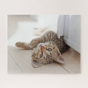 Puzzle Animales de bebé más afectados Shorthair Tabby K