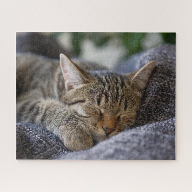 Puzzle Animales de bebé más afectados | Tabby Kitten Slee (Horizontal)