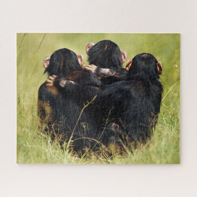Puzzle Animales de bebé más afectados | Tres chimpancés a (Horizontal)