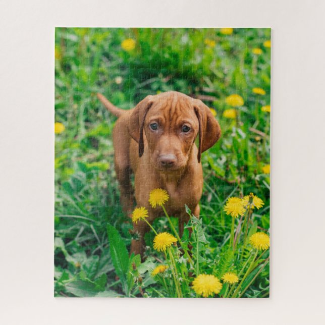 Puzzle Animales de bebé más afectados | Tubería de punter (Vertical)