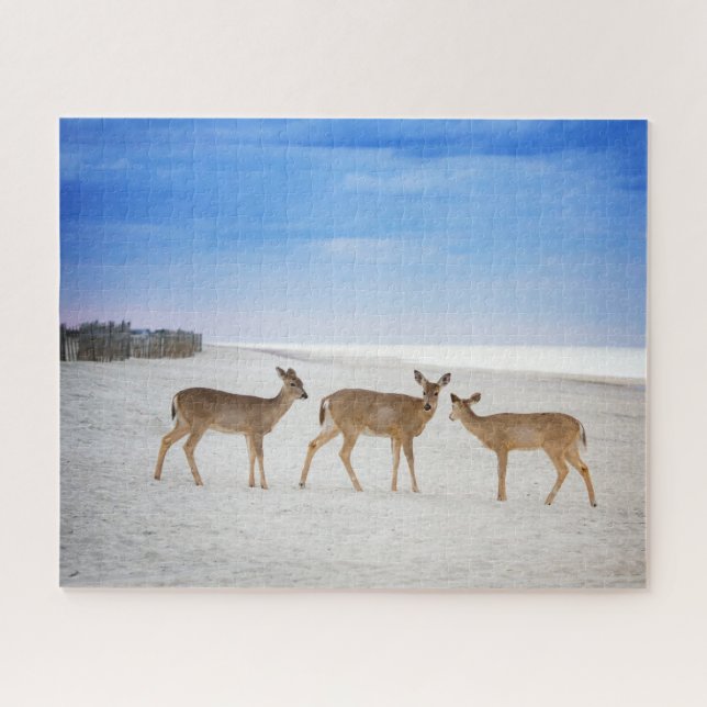 Puzzle Animales de bebé más afectados | Venado en la play (Horizontal)