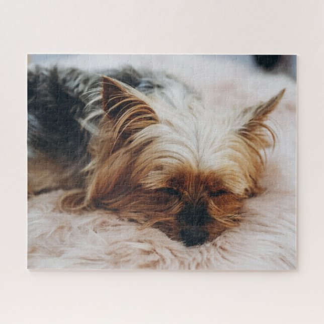 Puzzle Animales de bebé más afectados | Yorkshire Terrier (Horizontal)