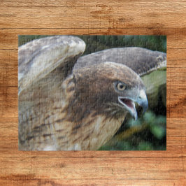 Puzzle Animales de cola roja