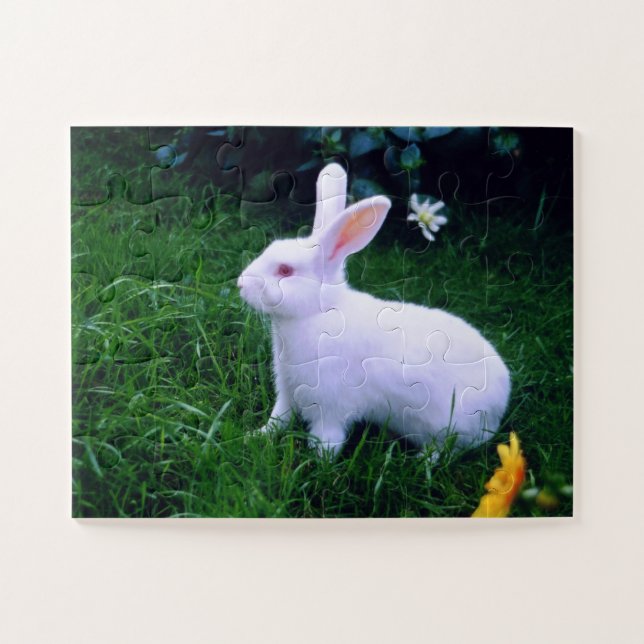 Puzzle Animales de conejito blanco (Horizontal)