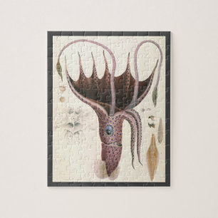 Puzzle Animales de la vida marina vintage, calamar paragu