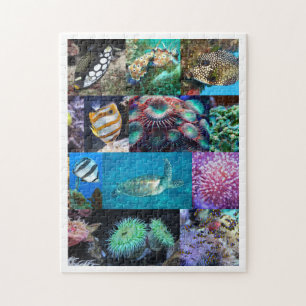 Puzzle Animales de Peces Marinos de Arrecife de Coral, Ed