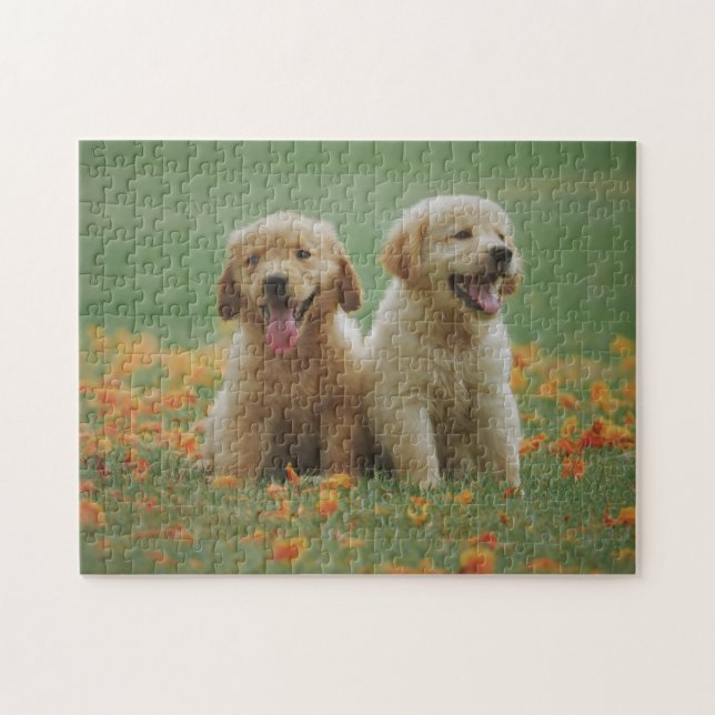 Puzzle Animales Desconcertan Foto De Animales Triste Cach (Horizontal)