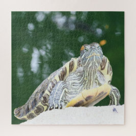 Puzzle animales, reptiles, tortugas, agua, naturaleza, pl