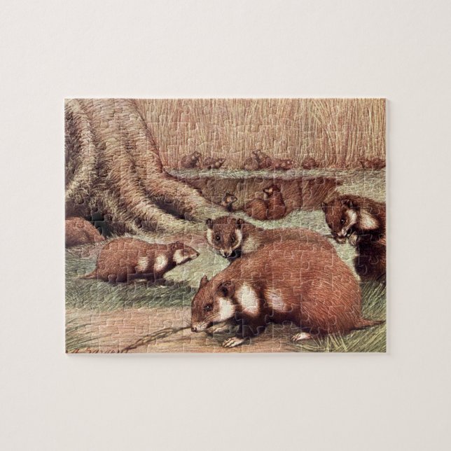 Puzzle Animales salvajes de época, hámsters de Louis Sarg (Horizontal)