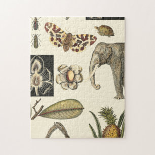 Puzzle Animales variados pintados con fondo crema