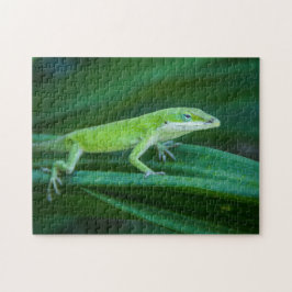 Puzzle Anole Lizard