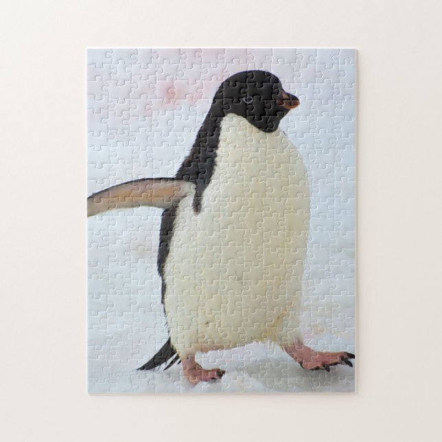 Puzzle Antártida. Isla Petermann. Pingüino adelie (Vertical)