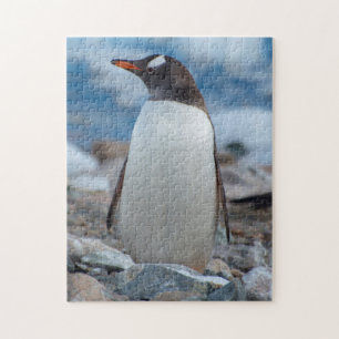 Puzzle Antártida. Puerto Neko. Pingüino de Gentoo