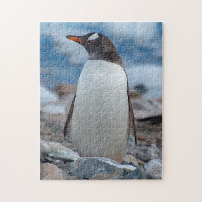 Puzzle Antártida. Puerto Neko. Pingüino de Gentoo (Vertical)