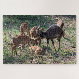 Puzzle Antelope Tranquilo – Naturaleza Africana
