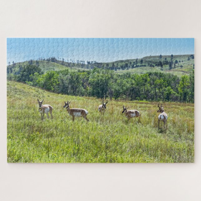 Puzzle Antelopes de Pronghorn, Dakota del Sur (Horizontal)
