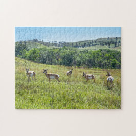 Puzzle Antelopes de Pronghorn, Dakota del Sur