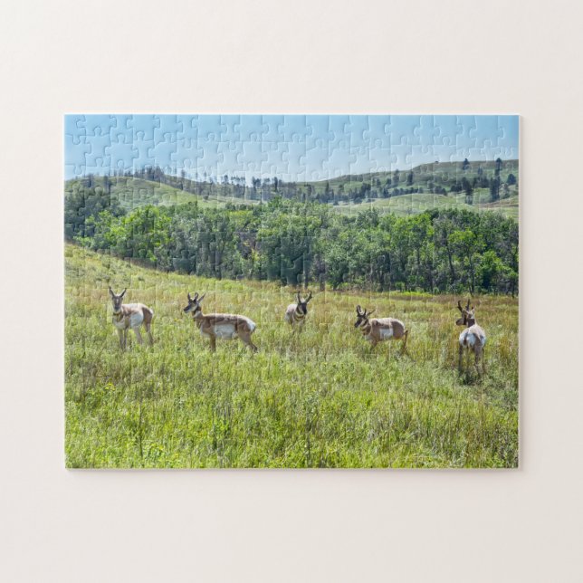 Puzzle Antelopes de Pronghorn, Dakota del Sur (Horizontal)