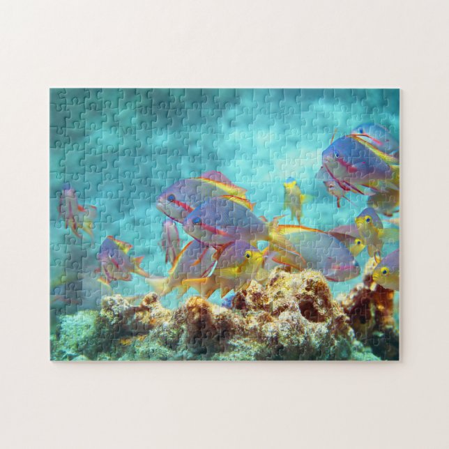 Puzzle Anthias - Colorida escuela de pescado en la barrer (Horizontal)