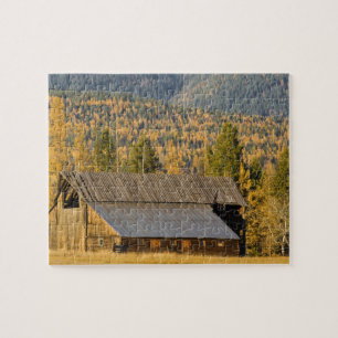 Puzzle Antiguo granero de madera con tamaracks de otoño c