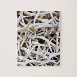 Puzzle - Antómetros Elk