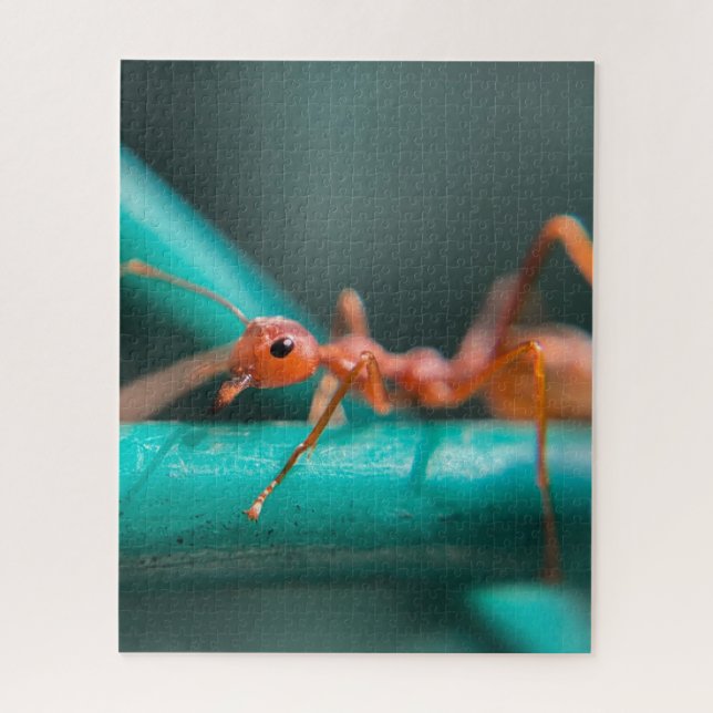 Puzzle Ants Close Up (Vertical)