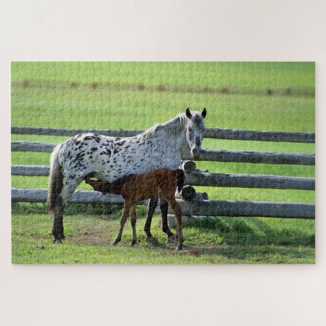 Puzzle Apaloosa Mare y Caballos de Colt (Horizontal)