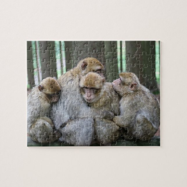 Puzzle Ape Group Hug (Horizontal)
