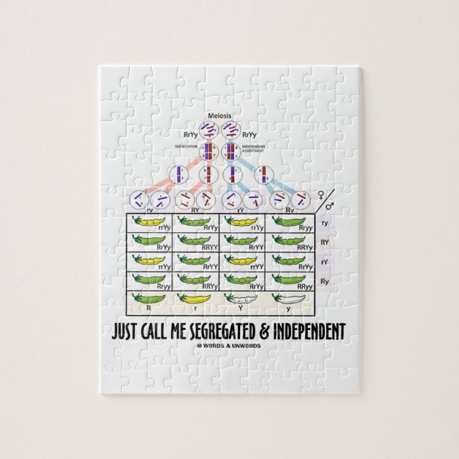 Puzzle Apenas llame me segregada y a la independiente (Vertical)