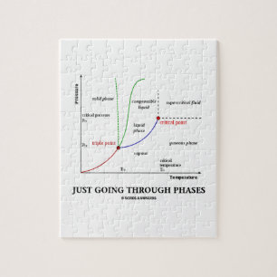 Puzzle Apenas pasando con las fases (química de agua)