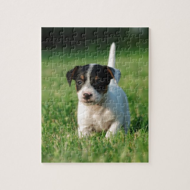 Puzzle Apertura de Jack Russell Terrier (Vertical)