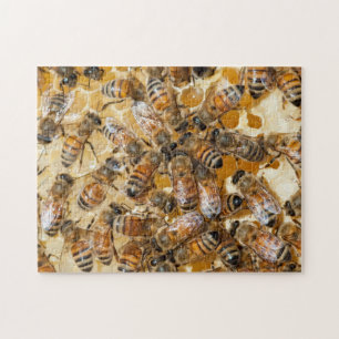 Puzzle Apicultura en Arlo's Honey Farm
