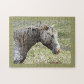 Puzzle Appaloosa salvaje en la isla de Unalaska