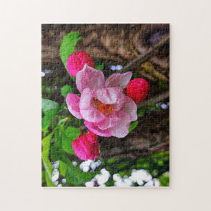 PUZZLE APPLE BLOSSOM